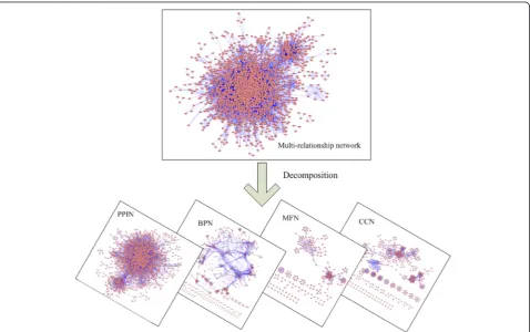 Fig. 3 Decomposition of a multi-relationship protein interaction network. The multi-relationship network is broken into several single networks,including PPI network, BPN (sharing biological process network), MFN (sharing molecular function), and CCN (sharing cellular component)