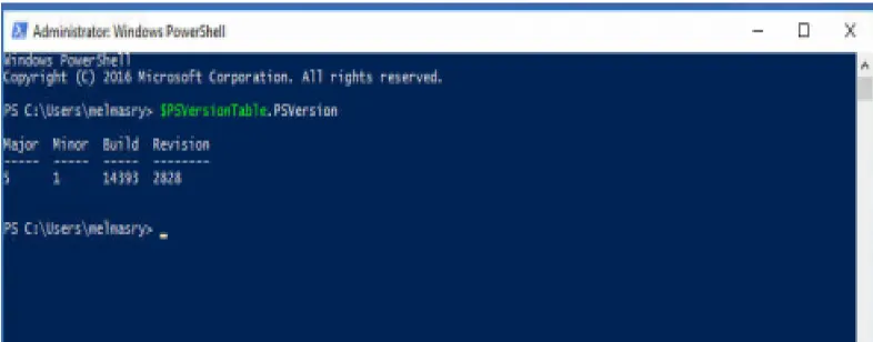 Figure 7: PowerShell Version 