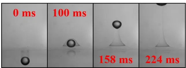 Figure 24. Long tail formation for 2.3 mm diameter bubble passing through silicone oil 100 (bottom) – ethanol (top) interface