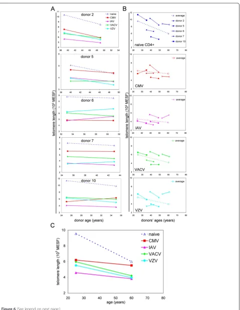 Figure 6 (See legend on next page.)