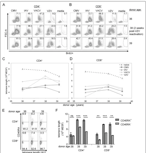 Figure 7 Reactivation associated with increased proliferative responses and restored TL in VZV-specific CD4+ and CD8+ T cells