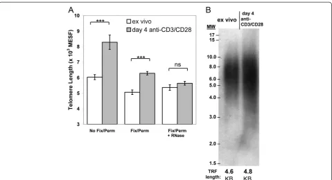 Figure 1 Telomere length (TL) measurement using flowFISH on proliferating T lymphocytes depends on fixation-permeabilization andRNA nuclease treatment