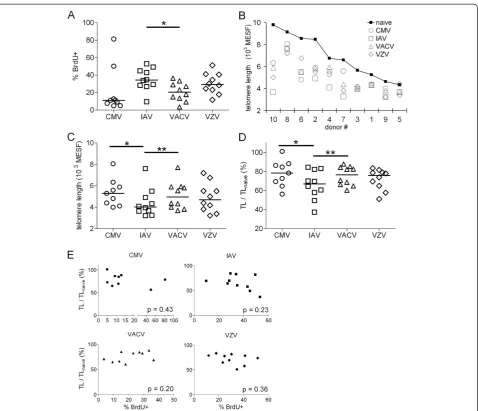Figure 4 TL in CMV- and VACV-specific CD4+ T cells are longer than TL in IAV-specific CD4+ T cells