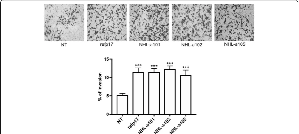 Fig. 2 Refp17 and vp17s increase breast cancer cell invasion. Cell invasion assay was performed by matrigel-coated transwell system