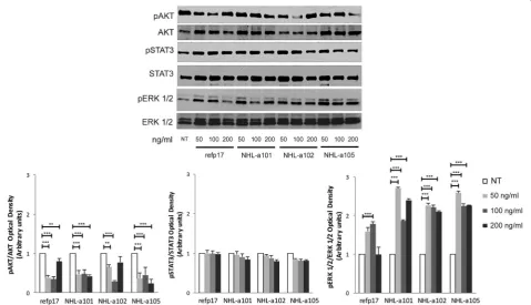 Fig. 3 Effects of refp17 and vp17s on Akt, STAT3 and ERK1/2 activity in MDA-MB 231 cells