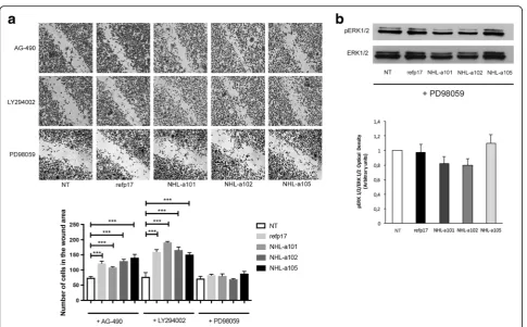 Fig. 4 Role of MEK/ERK signaling pathway in migration induced by refp17 and vp17s. MDA-MB 231 cells were serum starved for 24 h in the pres-data (***in the absence (NT) or in the presence of 10 ng/ml of refp17 or vp17s
