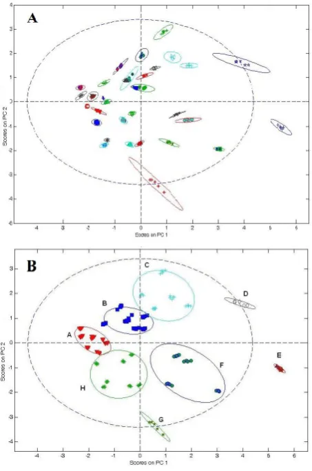 Figure 1. Loading plot for mineral water samples.  