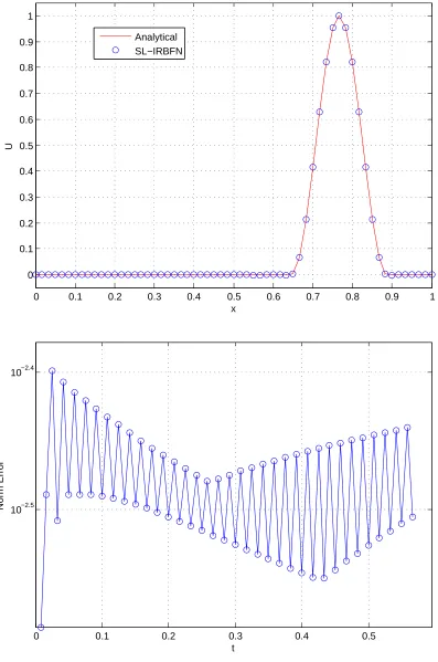Figure 1: Test 1.1: Numerical solution (top) and its L∞−norm error (bottom) by the SL-IRBFNscheme.