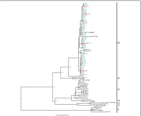 Fig. 1 Phylogenetic tree based on the analyses of HPV52 whole-genome sequences of 52 isolates and 31 genomes available from GenBank (total83 sequences)