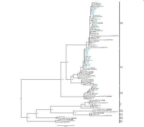Fig. 2 Phylogenetic tree based on the analyses of HPV58 whole-genome sequences of 48 isolates and 46 genomes available from GenBank (total94 sequences)