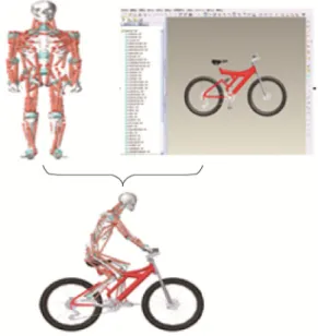 Fig. 1.    Configuration of the exoskeleton arm system  In ADAMS, the dynamic simulation of human-bike  coupling model was divided into forward dynamics  simulation and inverse dynamics simulation