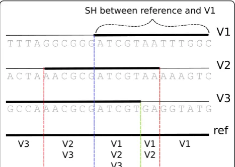 Figure 1 Haplous identifies the shared haplotypes between thereference vector and all other allele vectors
