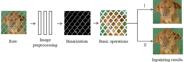 Figure 1.  