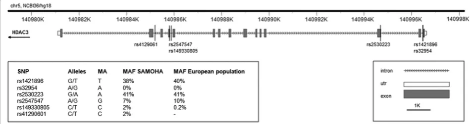 Fig. 1 Gene diagram of HDAC3 gene including SNPs identified in our sample. Abbreviations: SNP single-nucleotide polymorphism, MA minor allele,MAF minor allele frequency