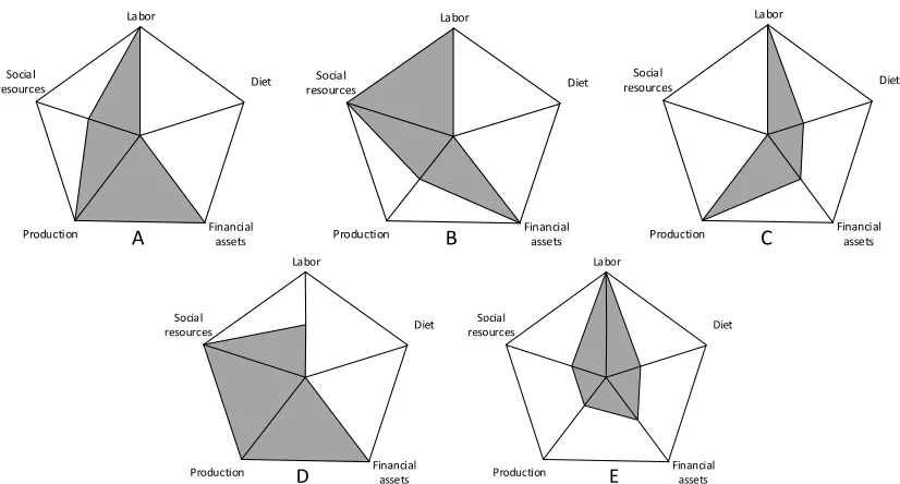 Table 3. The poverty level classification results of five regions. 