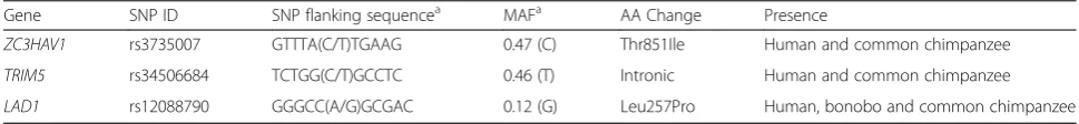 Table 1 Properties and allelic frequencies of human single-nucleotide putative TSPs shared with bonobos and commonchimpanzees