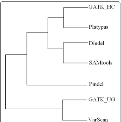 Fig. 9 Hierarchical clustering of the tools