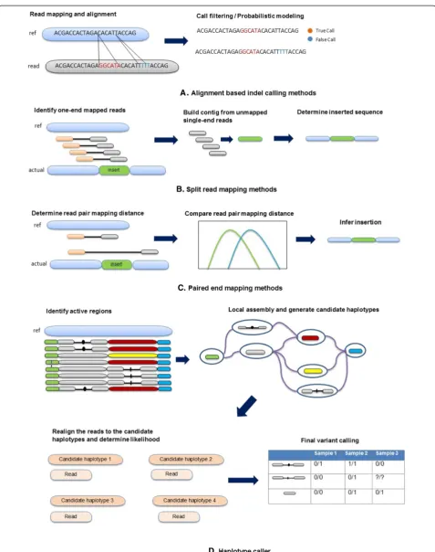 Fig. 1 Categories of indel calling tools. Here ref is the reference sequence and actual is the observed sequence