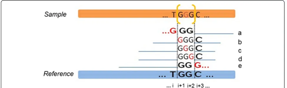 Fig. 2 Example of identical indels taking place in relative positions. (Adapted from Krawitz et al