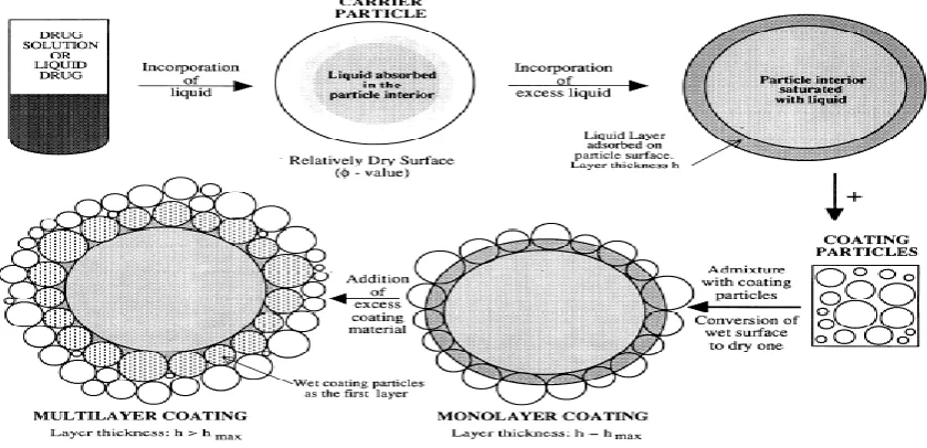 Figure 1: Schematic representation of liquisolid systems. 