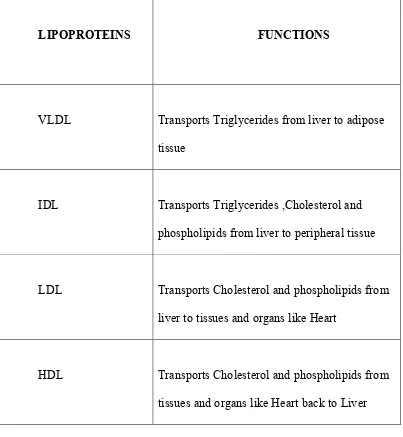 TABLE 4: FUNCTIONS OF LIPOPROTEINS. 