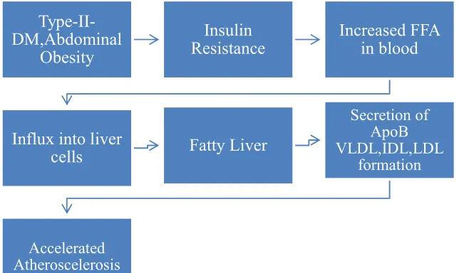 FIG 8:ROLE OF INSULIN IN ATHEROSCLEROSIS 