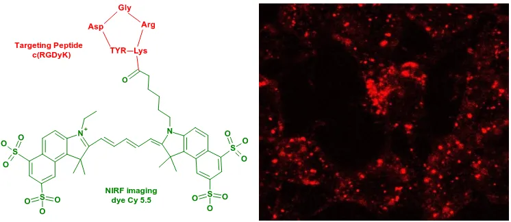 Figure 3. DCL urea-based PSMA inhibitor. N-[N-[(S)-1,3-dicarboxypropyl]carbamoyl]-(S)-L-lysine