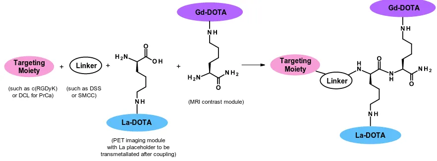 Figure 11. Color-coded structure for one of the final TMIA products,  c(RGDyK)-SMCC-dK(DOTA-Cu)-K(DOTA-Gd)-NH2, useful for targeted PET-MR of cancer.