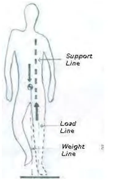 FIGURE 3-1 - FORCE VECTORS ACTING ON SINGLE LIMB SUPPORT  