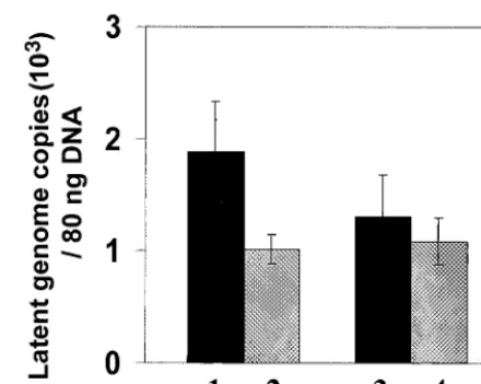FIG. 6. Latent HSV-1 copy number in TG.Quantitative real-timePCR was performed on DNAs extracted from ganglia derived from