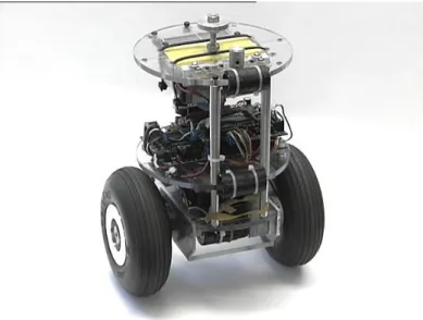 Figure 2.3  nBot by David Anderson (Anderson 2007)  