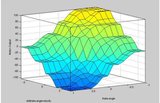 Figure 3.6  Angle and angular velocity rule set surface plot 