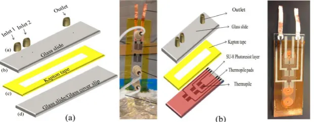 Figure 1. Antimony (Sb)-bismuth (Bi) thin-film thermopile sensor fabricated on a glass coverslip