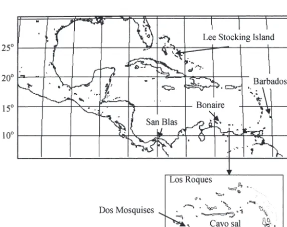 Fig. 1. Sparisoma viride. Sampling localities within the tropical westernAtlantic. Insert shows the reef distribution at Los Roques and the 2 sam-pling sites within this region