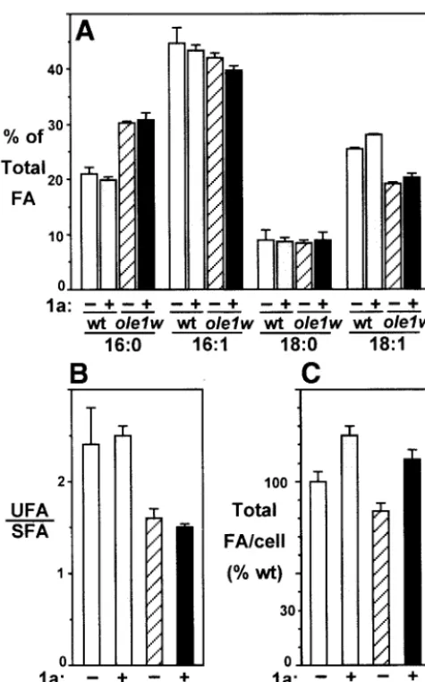 TABLE 1. 1a expression and ole1w mutation had no effect on thesizes of yeast cells