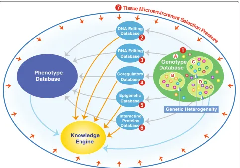 Figure 3 A model for next-generation genetic databases. (1) Genotype Database: (A) genetic heterogeneity within blood tissues and (B, C,and D) within other tissues in an organism