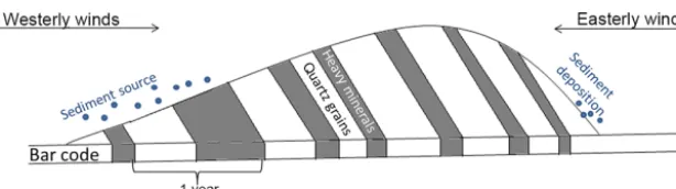 Figure 1. Schematic representation of the Łeba dune structure (adapted from Ludwig et al., 2017).