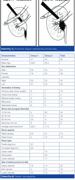 table in all patients to ascertain the integrity of PUJ. X-ray chest 