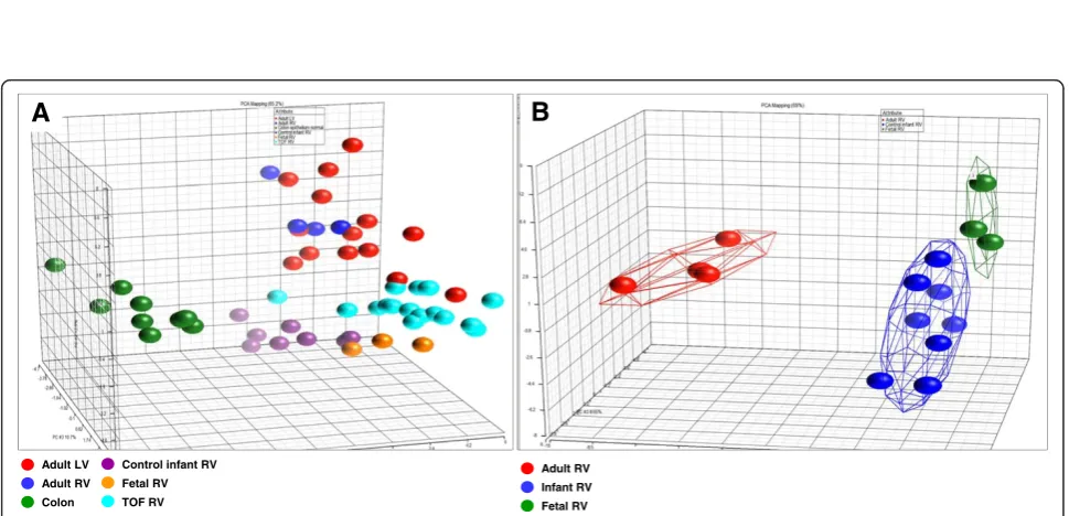 Figure 1 Hierarchical clustering based on 54 genes of the gene expression template (GET)