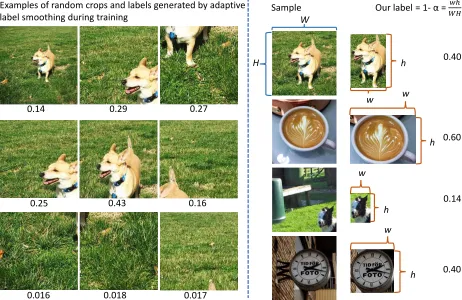 Figure 1.4: Random crops of images are often used when training classiﬁcation CNNs to helpmitigate size, position and scale bias (left half of ﬁgure)