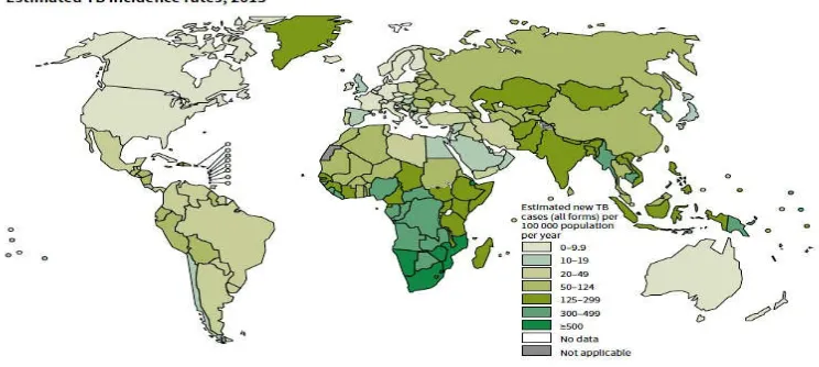 Figure 2: Estimated TB incidence rates, 2013