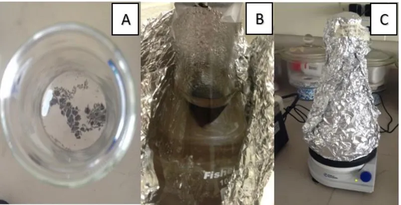 Figure 1. Pictures A-C above depict the set-up for the solubilization of fullerene using the magnetic stirring method