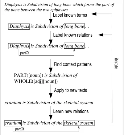 Figure 2: PartEx relation discovery between terms,patterns represented by tokens and parts of speech.