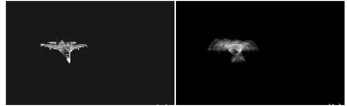 TABLE I. THE CORRELATION PEAK PARAMTERS OF NINE TEMPLE IMAGES AND THE ROTATING DISTORTION TEMPLATE IMAGE OF SDF