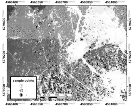 Fig. 6. Test site Reiteralm: the points indicate the position of thesnow gauges. White points with a large black dot in the middle indi-cate that the modelled snow depth of the winter season 2004/05 wasin average more than 10% higher than the measured one,