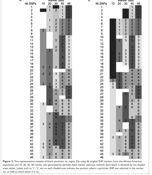 Figure 3. Two representative samples of block partitions on region 52a using 46 original SNP markers from the African-American