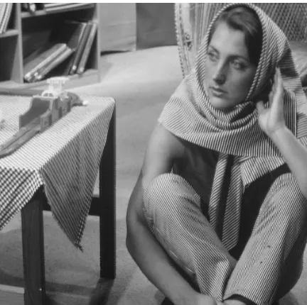 Figure 5.3: Original Barbara image
