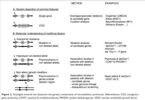Figure 2. Strategies towards the dissection the genetic components of microdeletion syndromes
