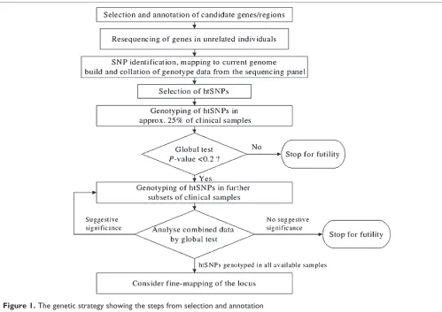 Figure 1. The genetic strategy showing the steps from selection and annotation