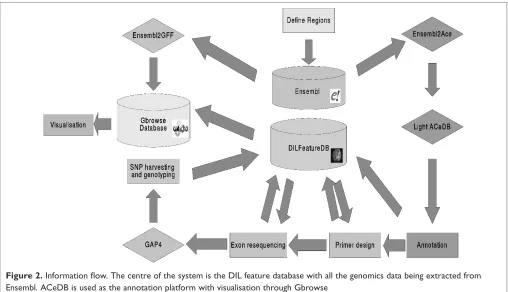 Figure 2. Information ﬂow. The centre of the system is the DIL feature database with all the genomics data being extracted from